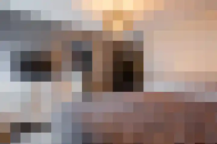 Rietgans 27 Bunschoten-Spakenburg thumbnail 15