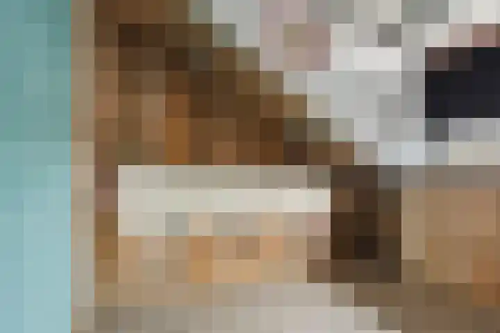 Rietgans 27 Bunschoten-Spakenburg thumbnail 22