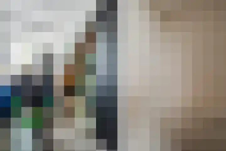 Rietgans 27 Bunschoten-Spakenburg thumbnail 25