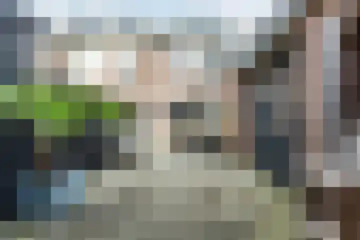 Rietgans 27 Bunschoten-Spakenburg thumbnail 27