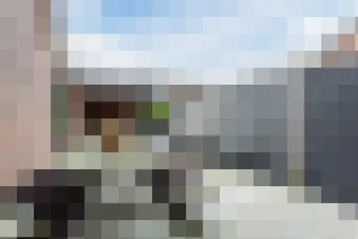 Rietgans 27 Bunschoten-Spakenburg thumbnail 29
