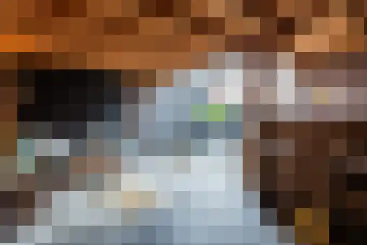 Rietgans 27 Bunschoten-Spakenburg thumbnail 32