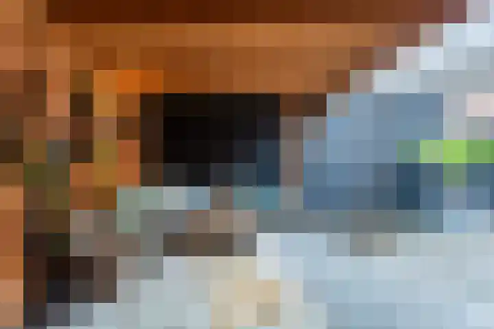 Rietgans 27 Bunschoten-Spakenburg thumbnail 33