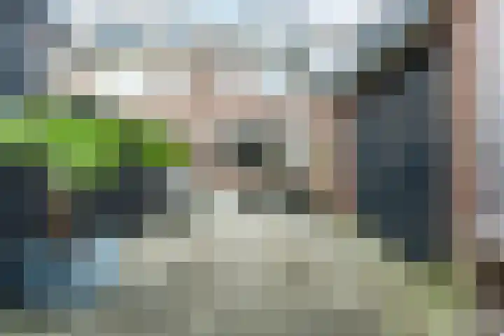 Rietgans 27 Bunschoten-Spakenburg thumbnail 36
