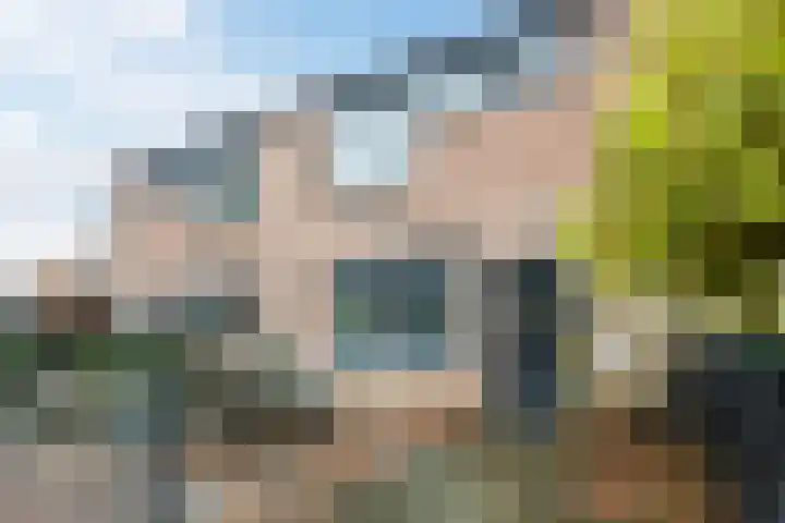Rietgans 27 Bunschoten-Spakenburg thumbnail 38