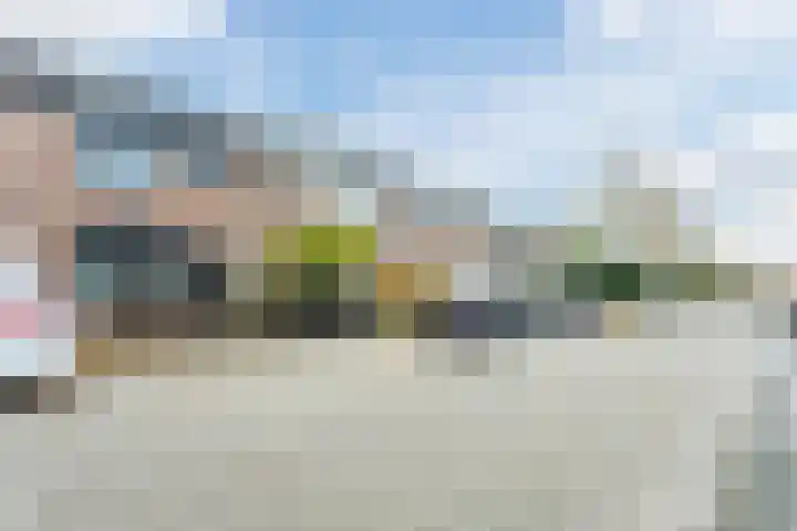 Rietgans 27 Bunschoten-Spakenburg thumbnail 39
