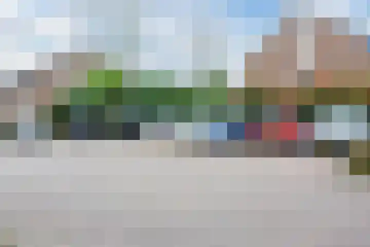 Rietgans 27 Bunschoten-Spakenburg thumbnail 41