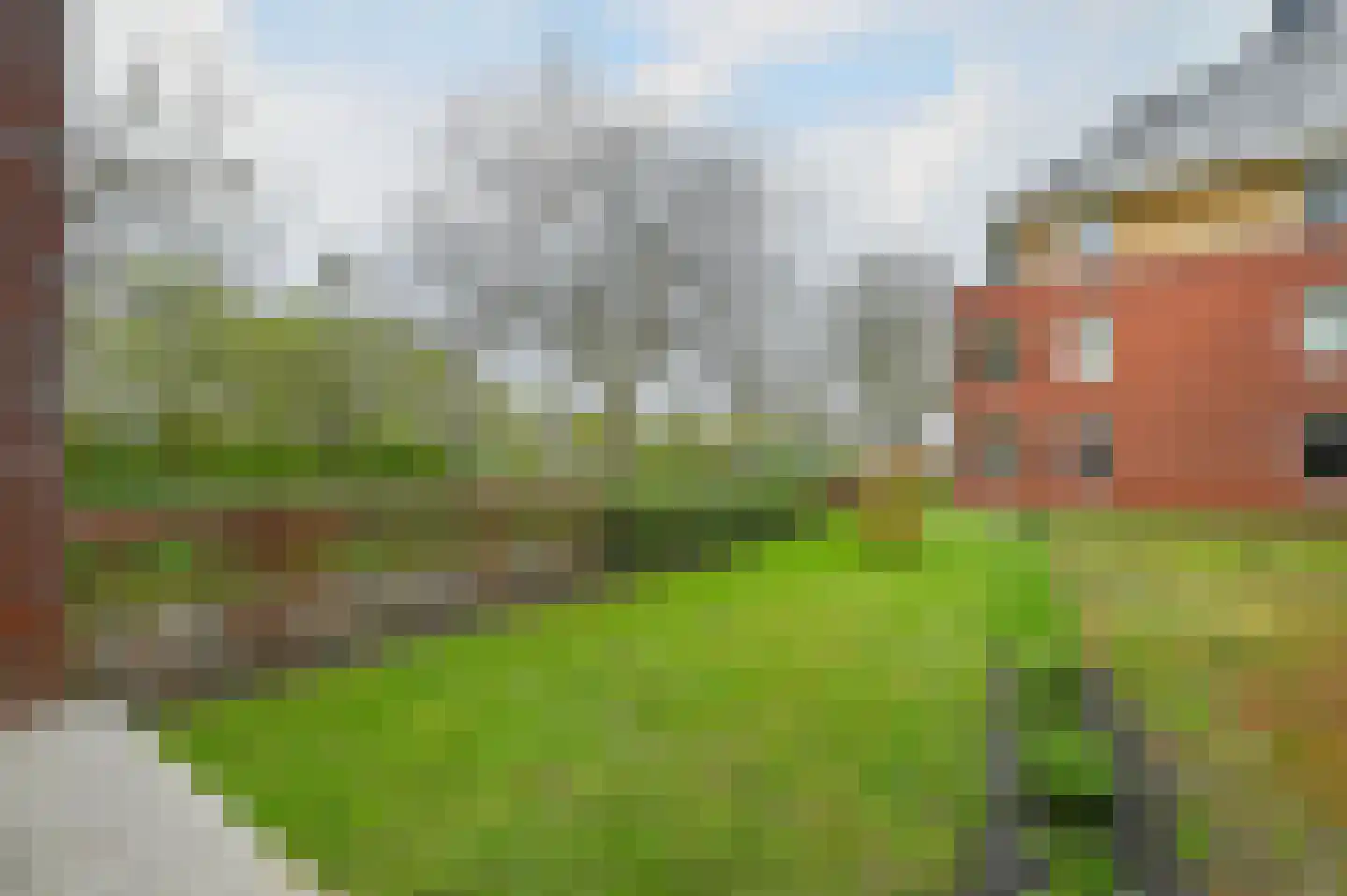 Rietgans 35 Mijdrecht thumbnail 15
