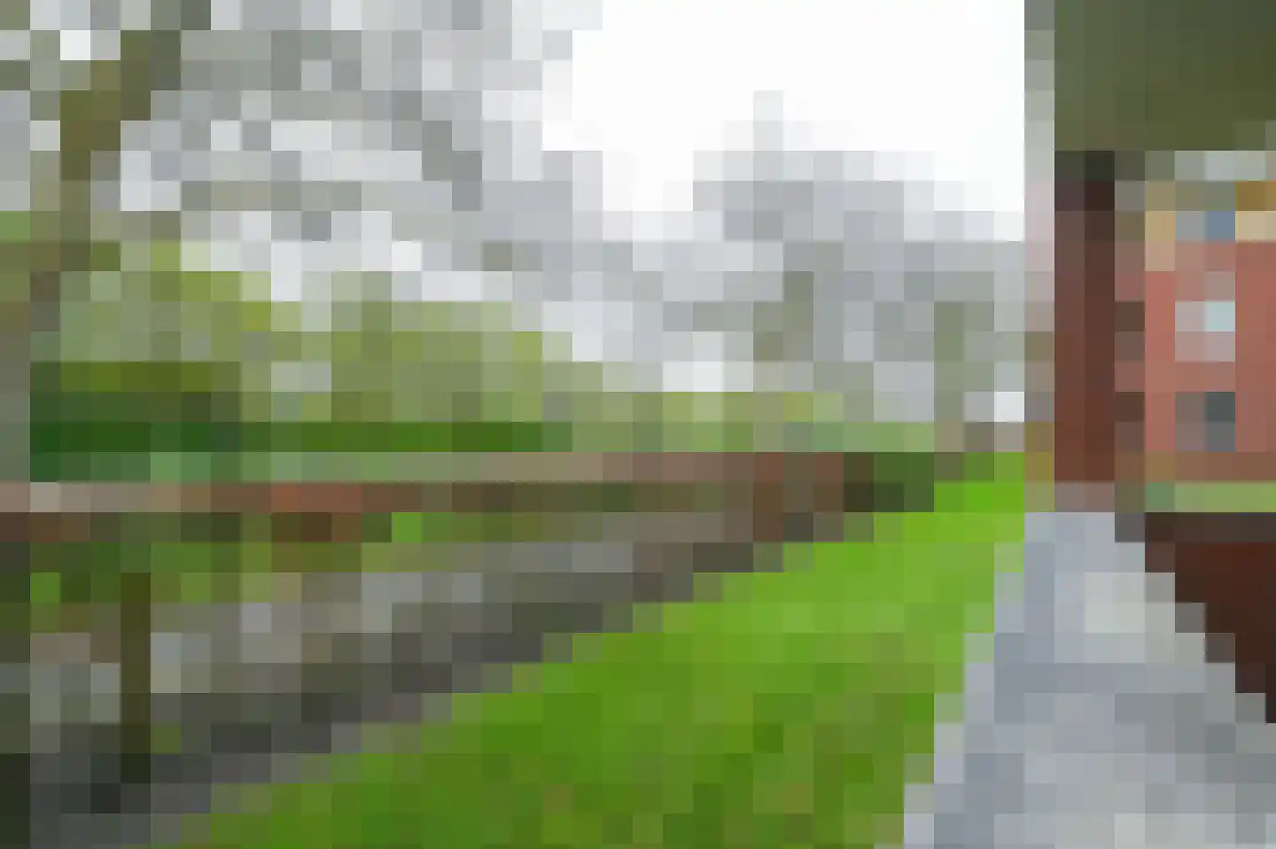 Rietgans 35 Mijdrecht thumbnail 21