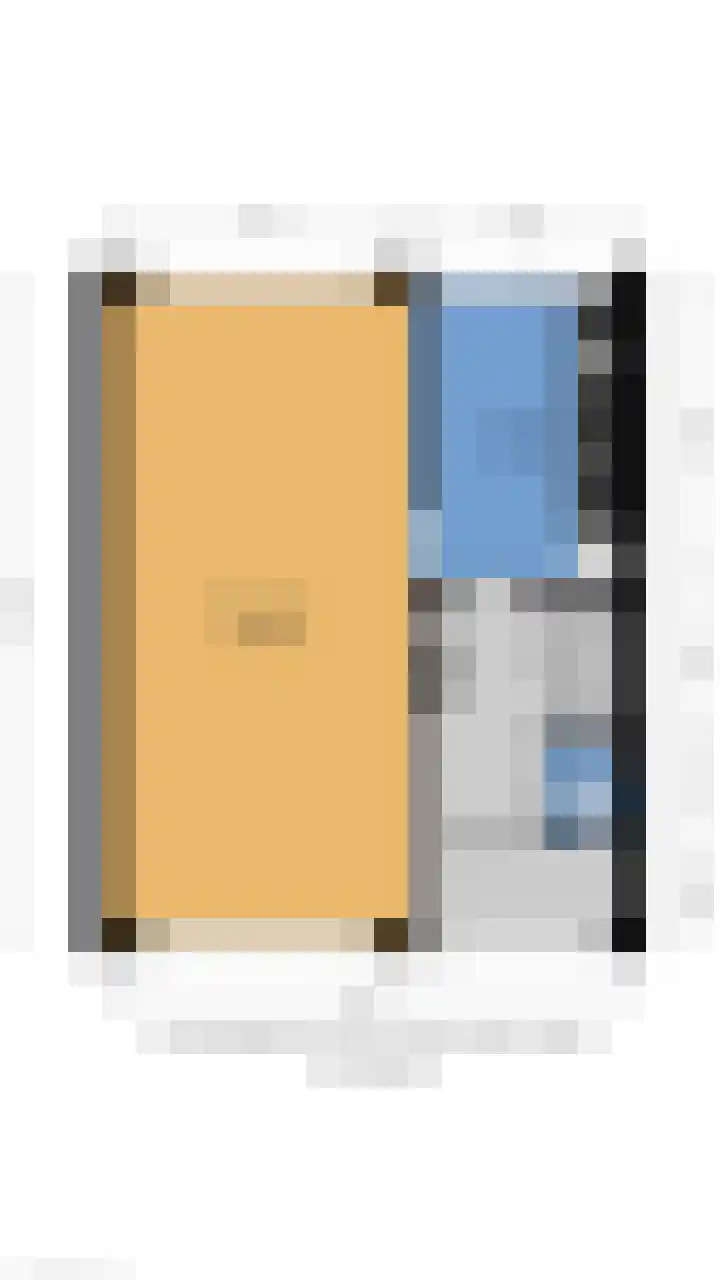 Rietgans 4 Dokkum thumbnail 30