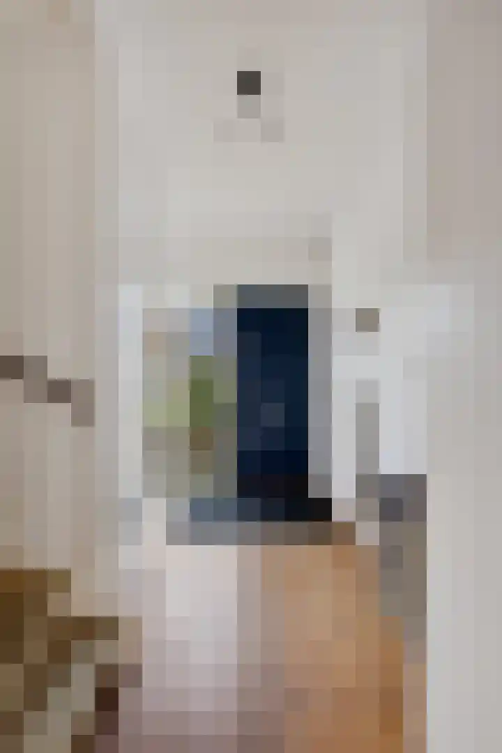 Rietgans 4 Dokkum thumbnail 6