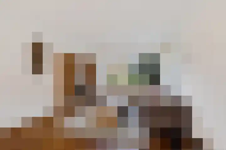 Rietgans 4 Dokkum thumbnail 7