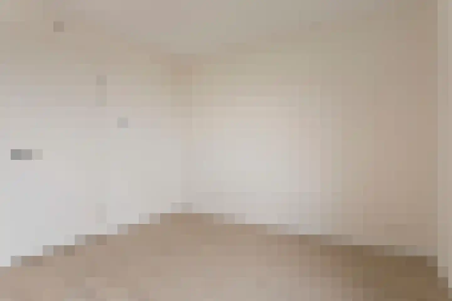 Rietgans 4 Terneuzen thumbnail 14