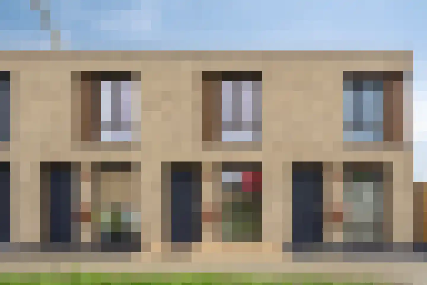 Rietgans 4 Terneuzen thumbnail 15