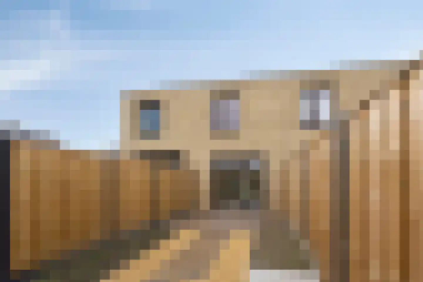 Rietgans 4 Terneuzen thumbnail 16