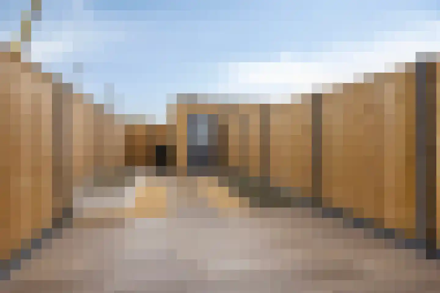 Rietgans 4 Terneuzen thumbnail 17