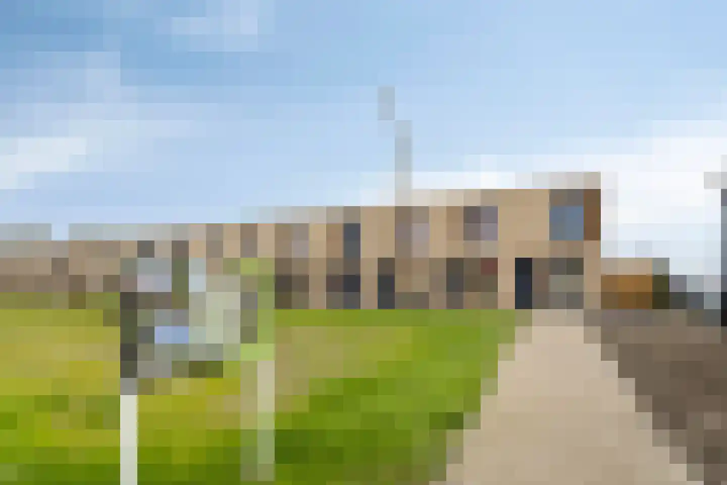 Rietgans 4 Terneuzen thumbnail 18