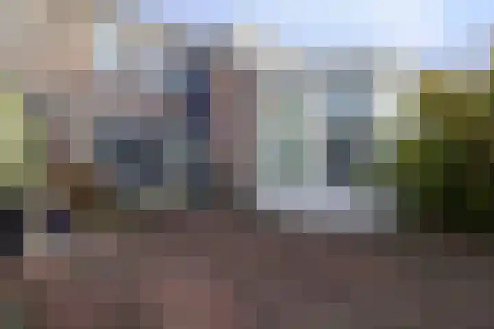 Rietgans 41 Bunschoten-Spakenburg thumbnail 27
