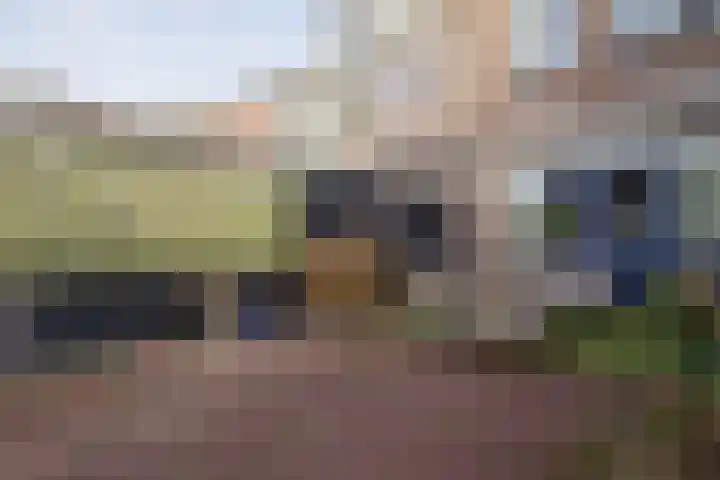 Rietgans 41 Bunschoten-Spakenburg thumbnail 28