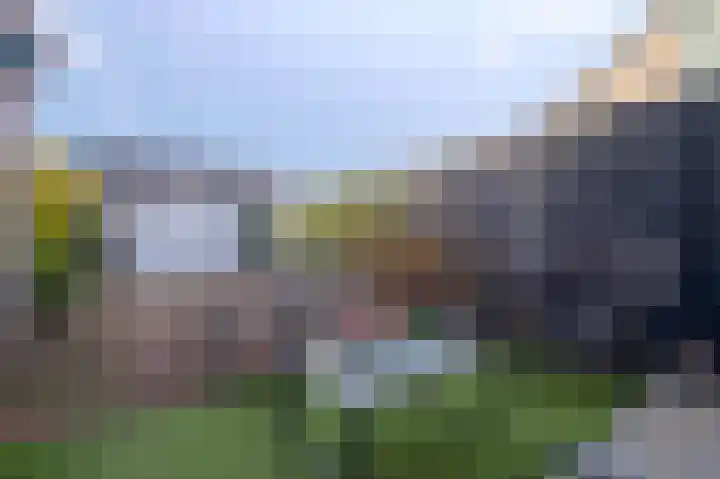 Rietgans 41 Bunschoten-Spakenburg thumbnail 29