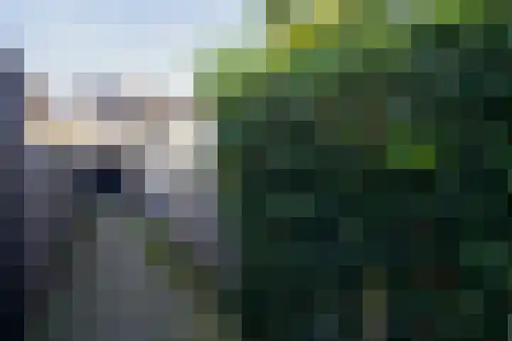 Rietgans 41 Bunschoten-Spakenburg thumbnail 33