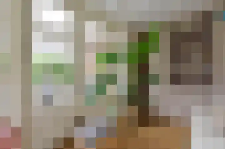 Rietgans 5 a Nibbixwoud thumbnail 10