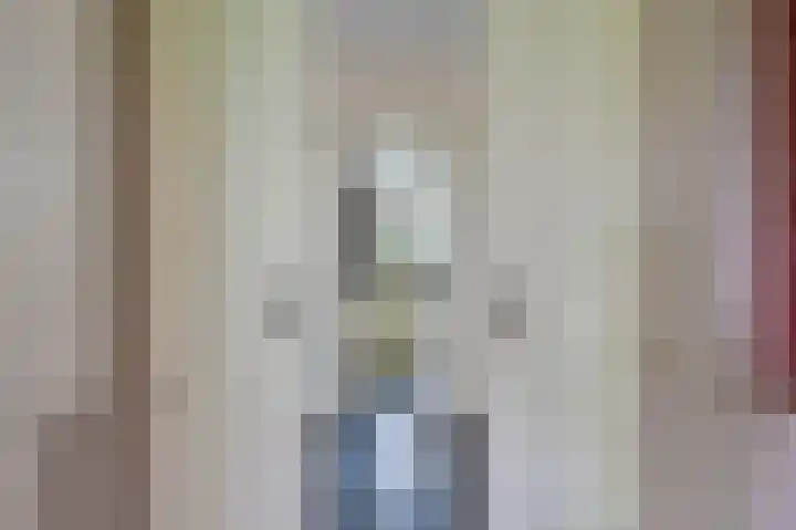 Rietgans 5 a Nibbixwoud thumbnail 11