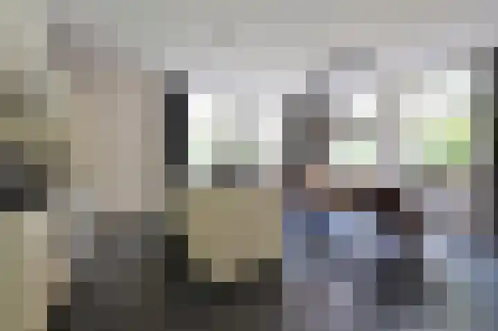 Rietgans 5 a Nibbixwoud thumbnail 13