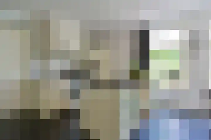 Rietgans 5 a Nibbixwoud thumbnail 14