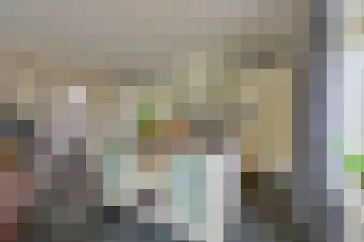 Rietgans 5 a Nibbixwoud thumbnail 15