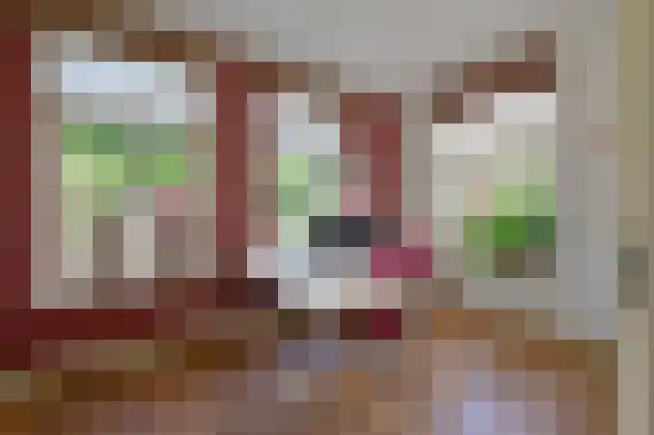 Rietgans 5 a Nibbixwoud thumbnail 16