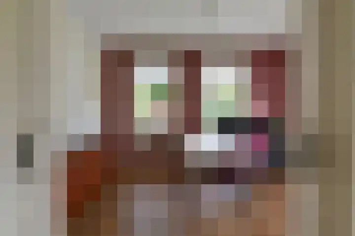 Rietgans 5 a Nibbixwoud thumbnail 17
