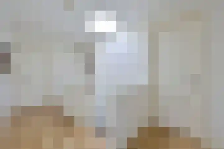 Rietgans 5 a Nibbixwoud thumbnail 18