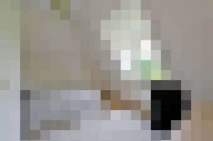 Rietgans 5 a Nibbixwoud thumbnail 19