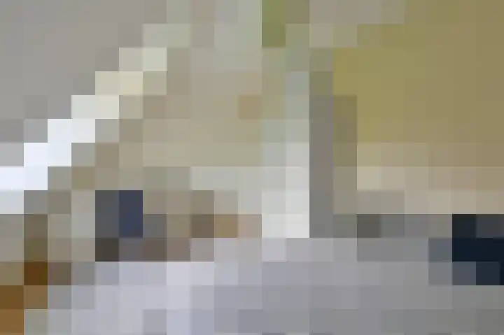 Rietgans 5 a Nibbixwoud thumbnail 20