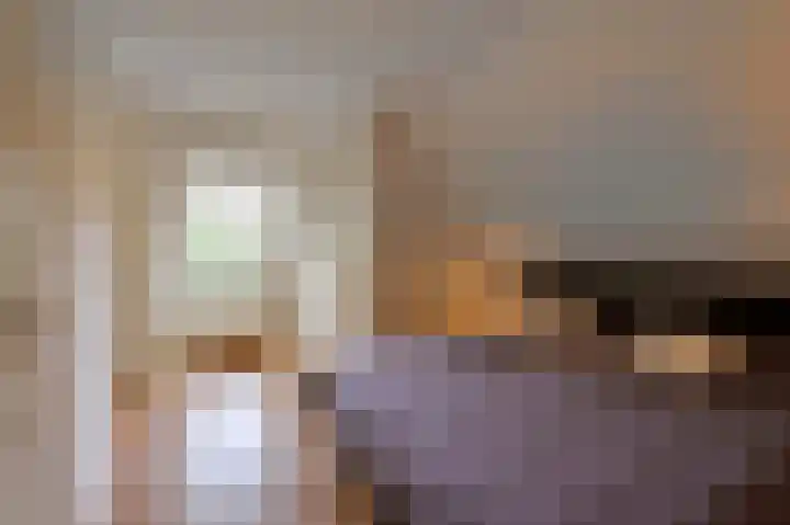 Rietgans 5 a Nibbixwoud thumbnail 23