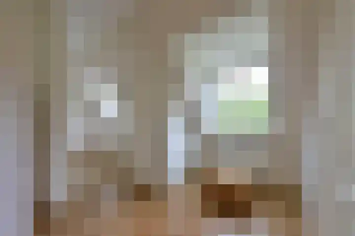 Rietgans 5 a Nibbixwoud thumbnail 25
