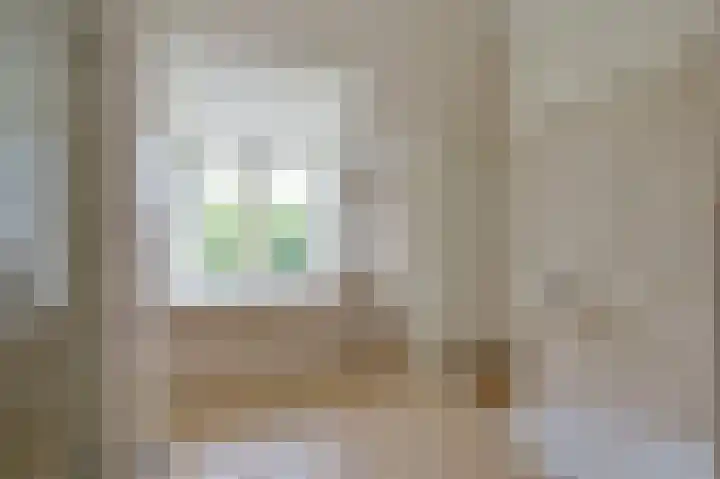 Rietgans 5 a Nibbixwoud thumbnail 26