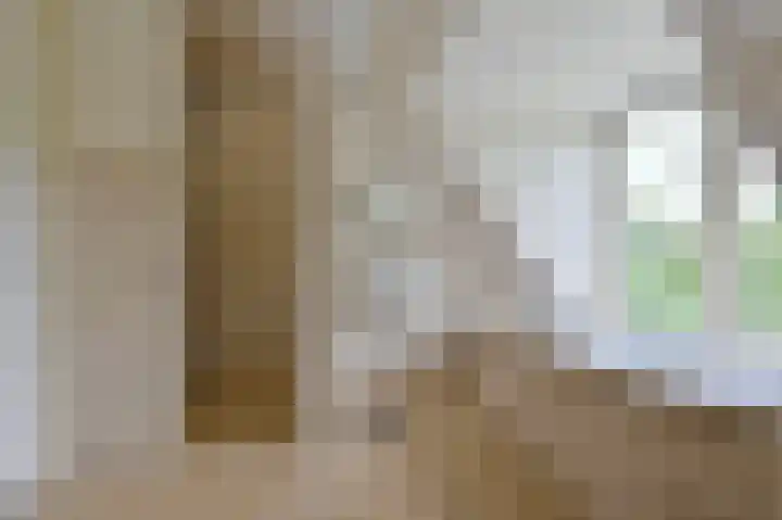 Rietgans 5 a Nibbixwoud thumbnail 27