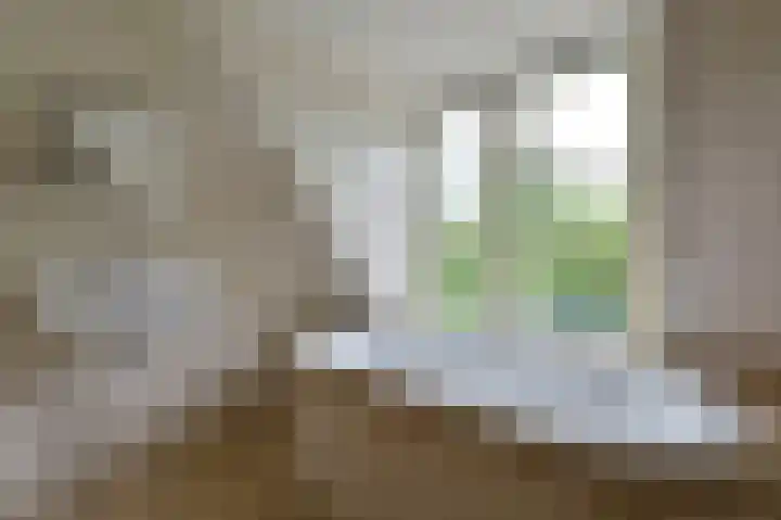 Rietgans 5 a Nibbixwoud thumbnail 28