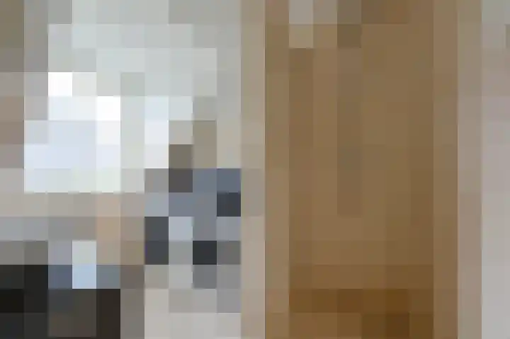 Rietgans 5 a Nibbixwoud thumbnail 30