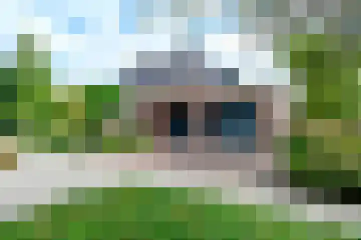Rietgans 5 a Nibbixwoud thumbnail 32