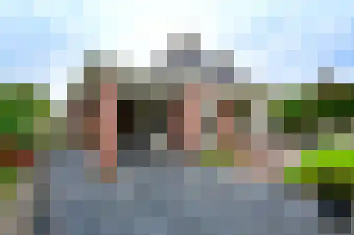 Rietgans 5 a Nibbixwoud thumbnail 34