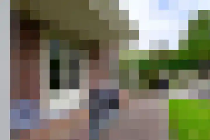 Rietgans 5 a Nibbixwoud thumbnail 36