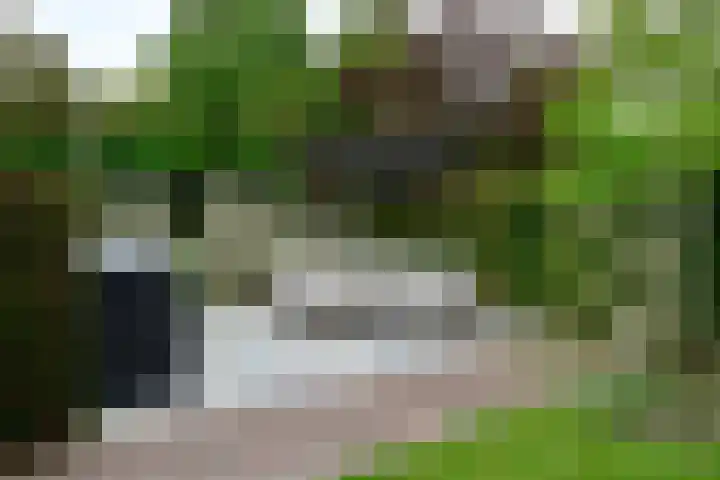 Rietgans 5 a Nibbixwoud thumbnail 37