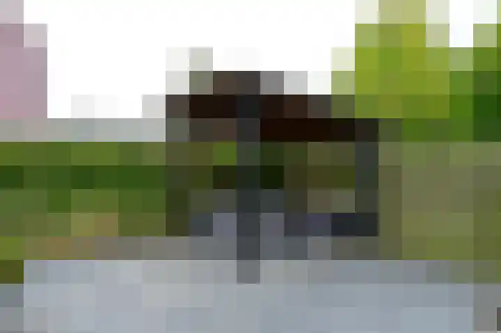 Rietgans 5 a Nibbixwoud thumbnail 38