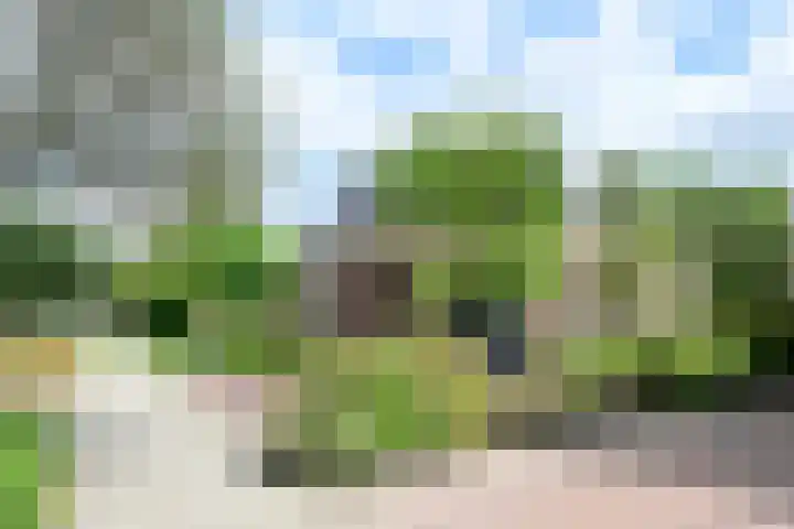 Rietgans 5 a Nibbixwoud thumbnail 39