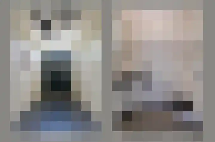 Rietgans 5 a Nibbixwoud thumbnail 4