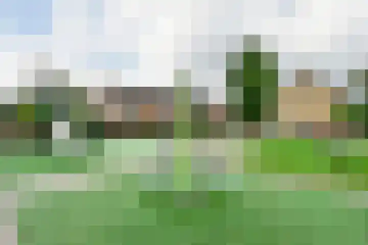 Rietgans 5 a Nibbixwoud thumbnail 40