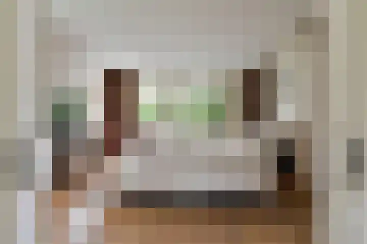 Rietgans 5 a Nibbixwoud thumbnail 6
